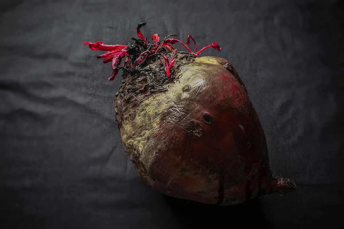 Essential Nutrients Your Body Is Craving